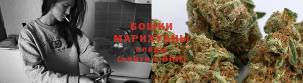ALPHA PVP Покров