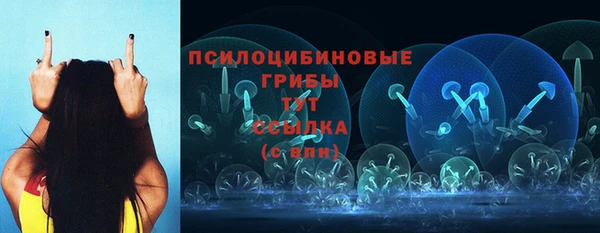 ALPHA PVP Покров